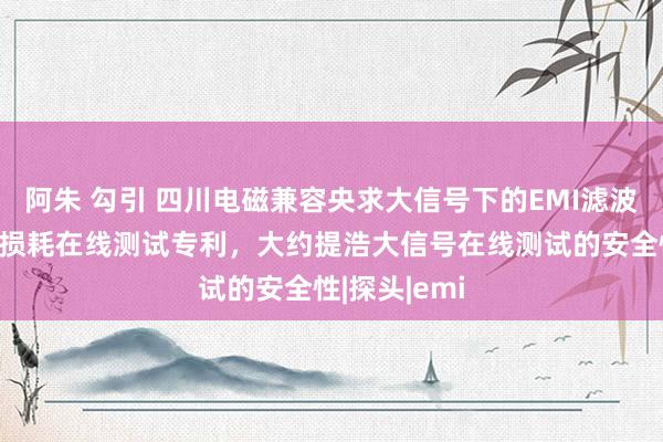 阿朱 勾引 四川电磁兼容央求大信号下的EMI滤波器共模插入损